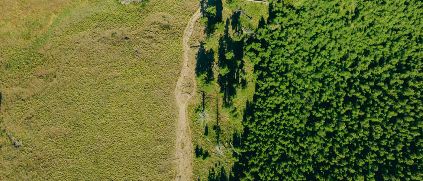  Завершена подготовка базы данных Двусторонних соглашений между Сторонами о сотрудничестве в рамках обмена сокращениями и абсорбцией выбросов в странах мира