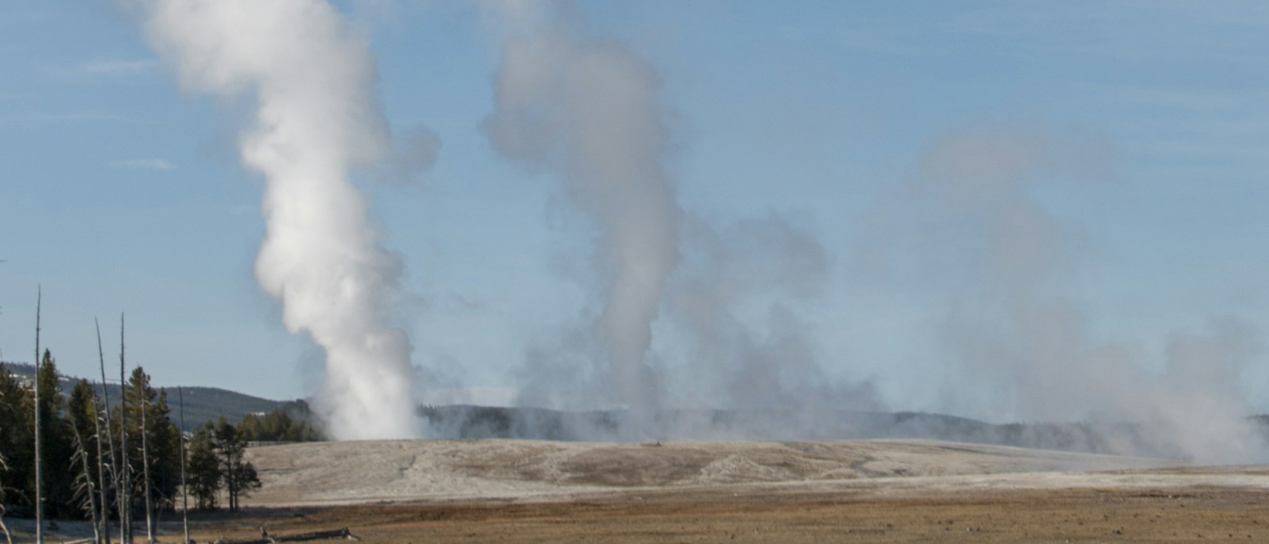 База данных выбросов на крупных мусоросжигательных установках (LCP)